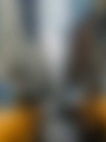 Latest WordPress News